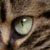 spidereine :iconspidereine: