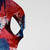 :iconspiderjerusalem7: