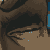 :iconspiderrattmann: