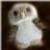 :iconspiders-wife: