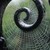 :iconspidersdesire: