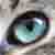 :iconspiegelsplitter: