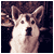 :iconspiff-johnson: