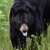 :iconspike4664: