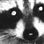 :iconspikecooper:
