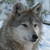 :iconspikehanphrey:
