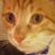 :iconspikish: