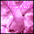 :iconspindisk:
