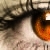 :iconspinds: