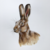 :iconspinning-planet: