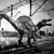 :iconspinoraptorrex303:
