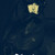 :iconspintrian: