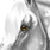 :iconspinyviper1: