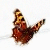 :iconspirit-catcher:
