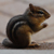 :iconspirit-eyes: