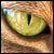 :iconspirit-of-anubis: