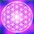 :iconspirit-universe: