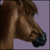 :iconspiritandghost: