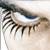 :iconspiritastray: