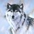 :iconspiritblackwolf: