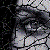 :iconspiritforce: