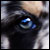 :iconspiritica: