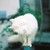 Spiritmist16 :iconspiritmist16: