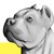 :iconspiritofacowboy: