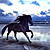 :iconspiritofmadness: