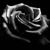 :iconspiritoftheshadows: