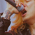 :iconspiritsa: