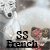 :iconspiritualstonefrench: