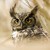 :iconspiritusnoctua: