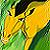 :iconspiritvegeta: