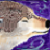 :iconspiritwolff: