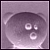 :iconspitzer-spatz: