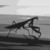 :iconspjdogg: