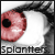 Splantters.Inc - Portal Splantters
