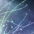 :iconsplash-of-life: