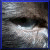 :iconsplashingcolors: