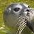 :iconsplashlover90: