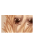 :iconspleen-manga:
