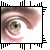 :iconspleendonor: