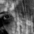 :iconsplink-stock: