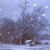 :iconspllogics-photo: