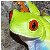 :iconsplucky: