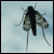 :iconspock84: