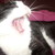 :iconspocksgirl:
