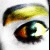 :iconspodromantis: