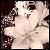 :iconspoilt-love: